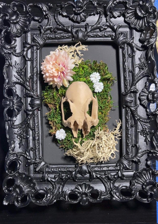 FAUX rabbit skull framed wall decor!
