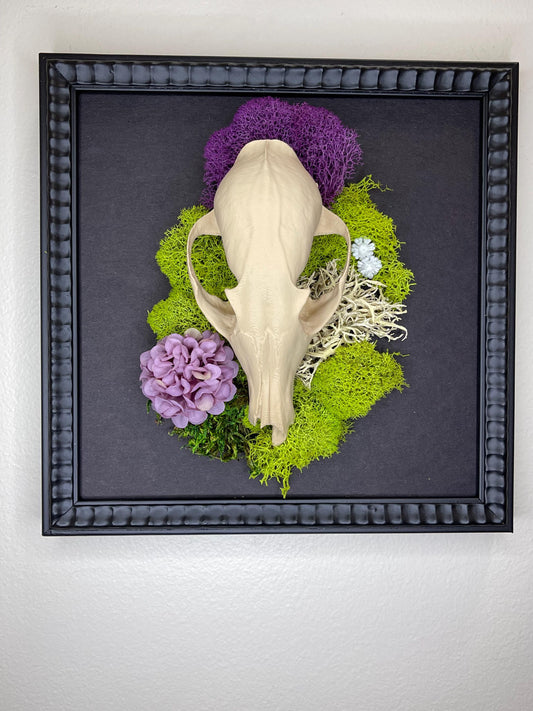 FAUX coyote skull Gothic wall art!