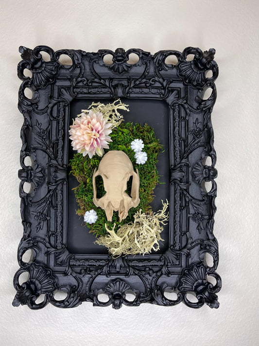 FAUX rabbit skull framed wall decor!